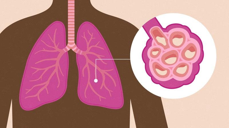 GMCA Lung Nodules Animation Storyboard06