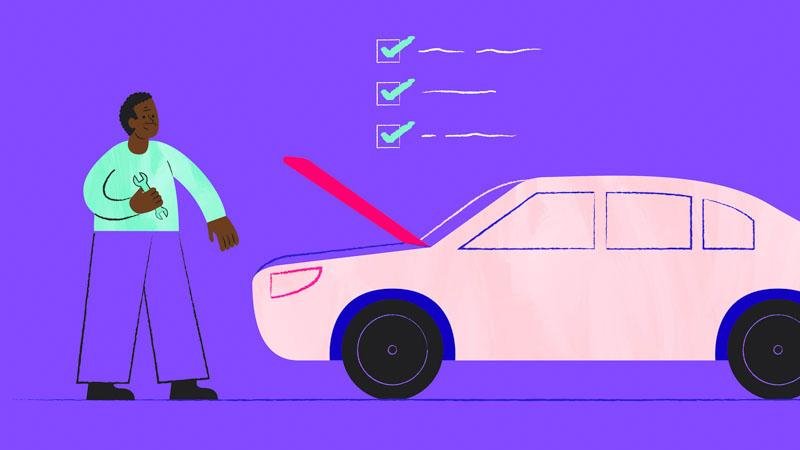 SEL Mind Public Information Explainer